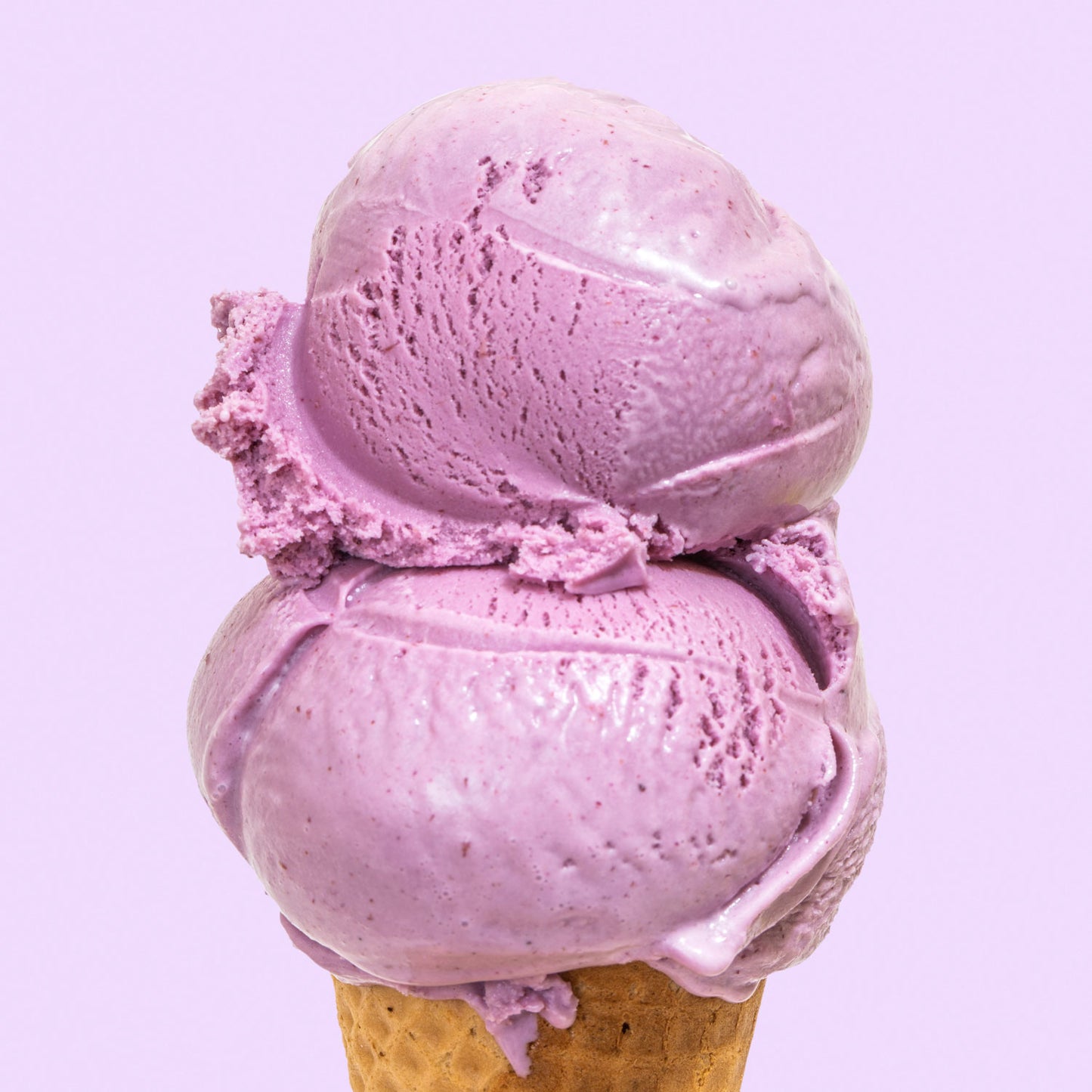 Wildberry Lavender Pint Jeni's Splendid Ice Creams   