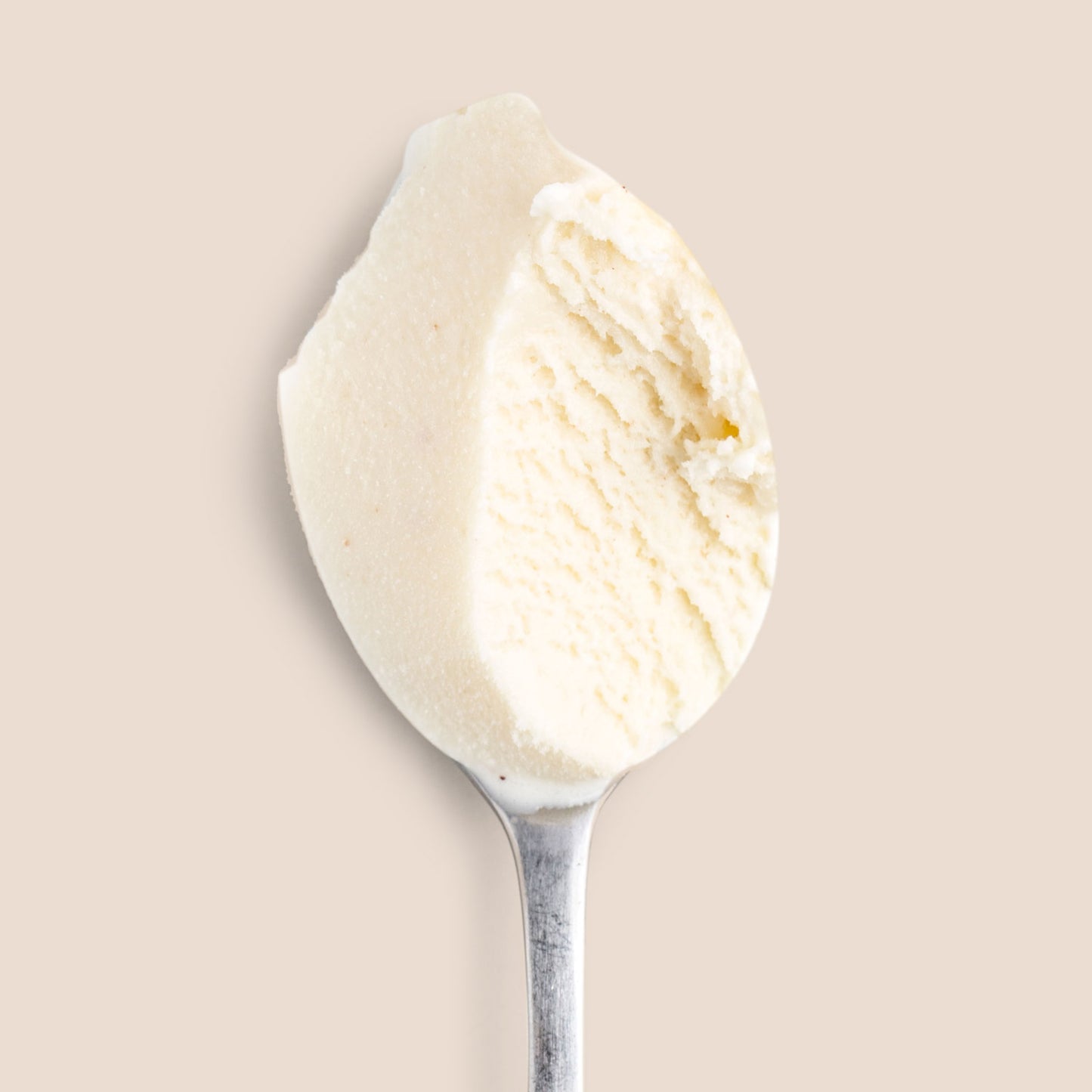 Boozy Eggnog Pint Jeni's Splendid Ice Creams   