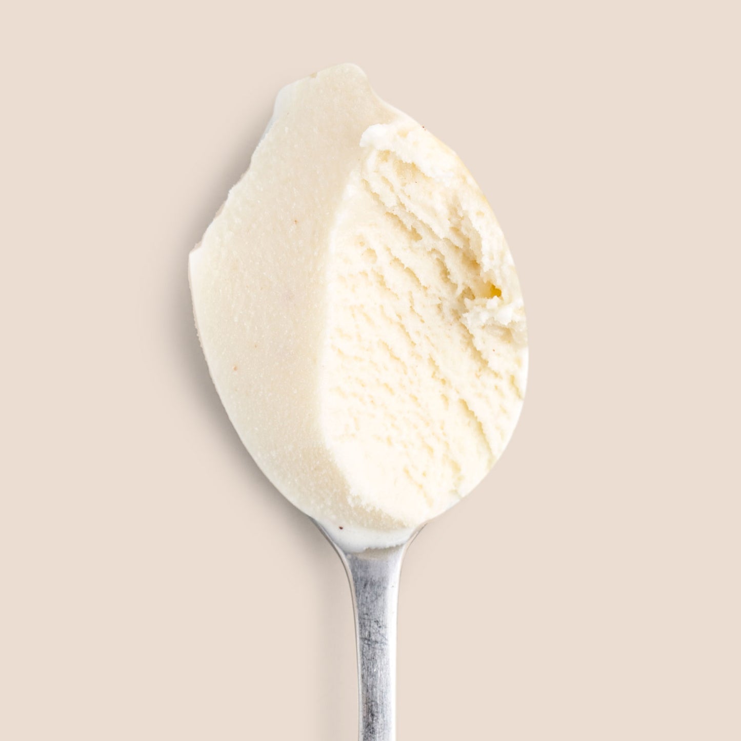 Boozy Eggnog Pint Jeni's Splendid Ice Creams