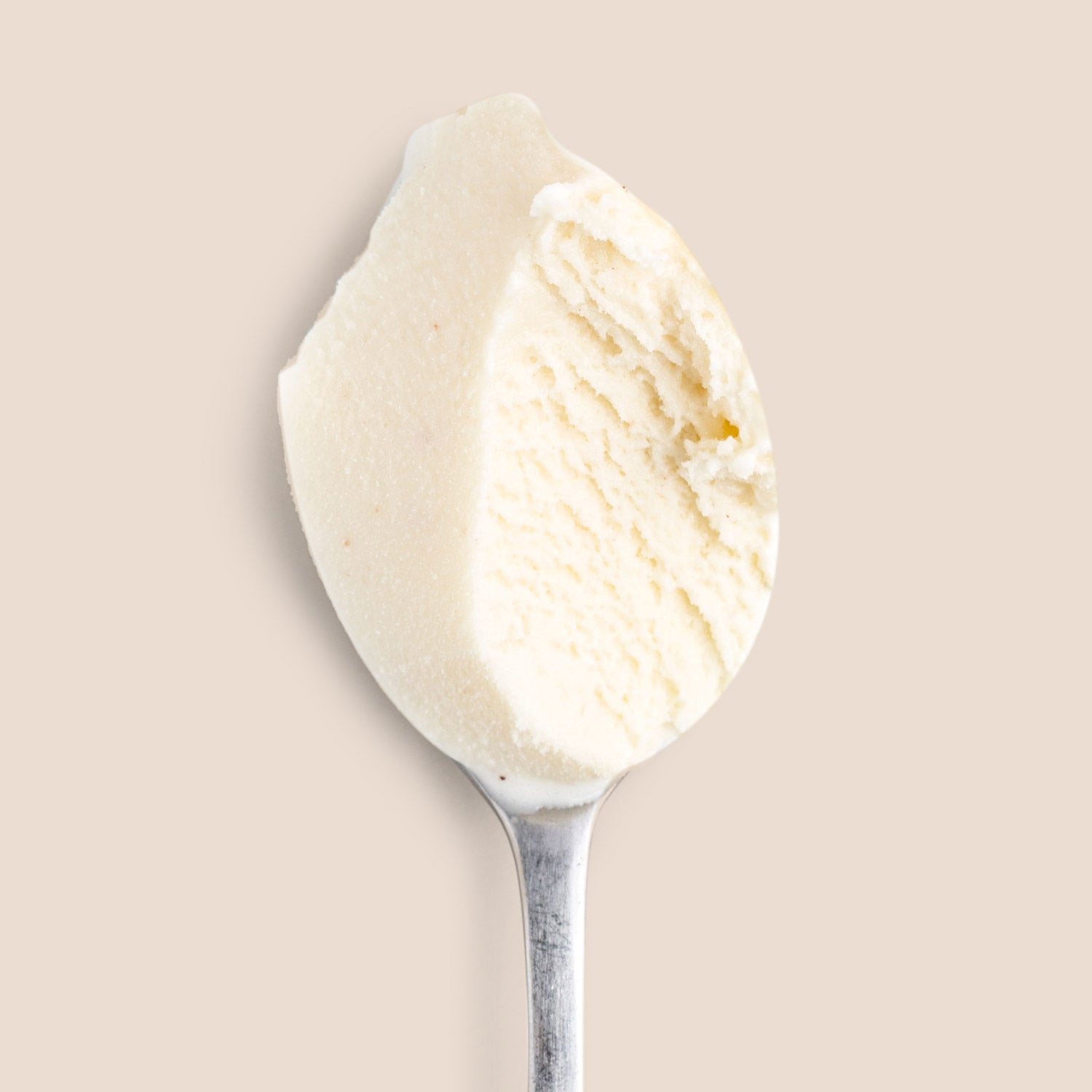 Boozy Eggnog Pint Jeni's Splendid Ice Creams   