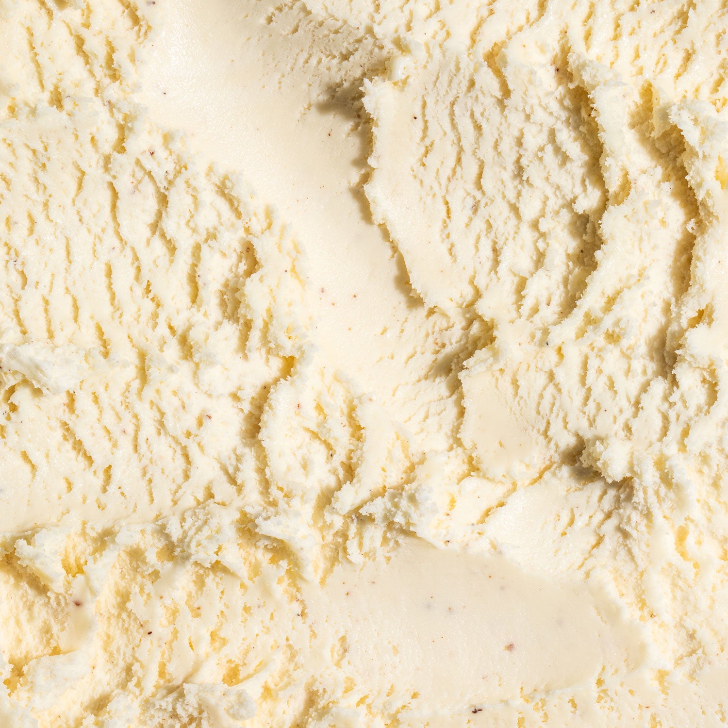 Boozy Eggnog Pint Jeni's Splendid Ice Creams   