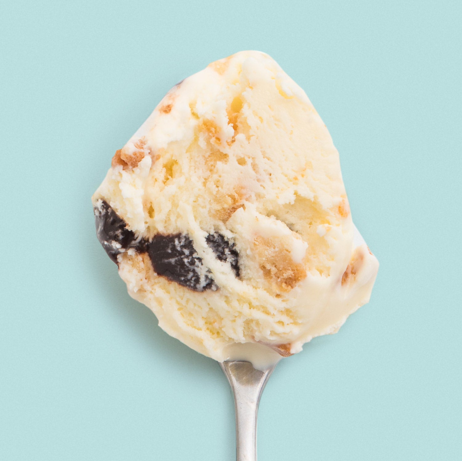 Boston Cream Pie Pint Jeni's Splendid Ice Creams   