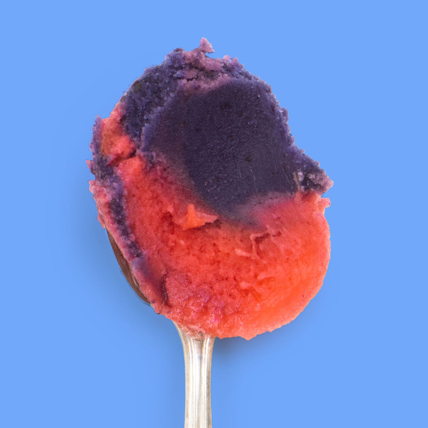 Snow Cone Sorbet