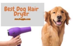 Blow Hair Dryer For Pets