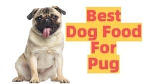 dog food for pugs list